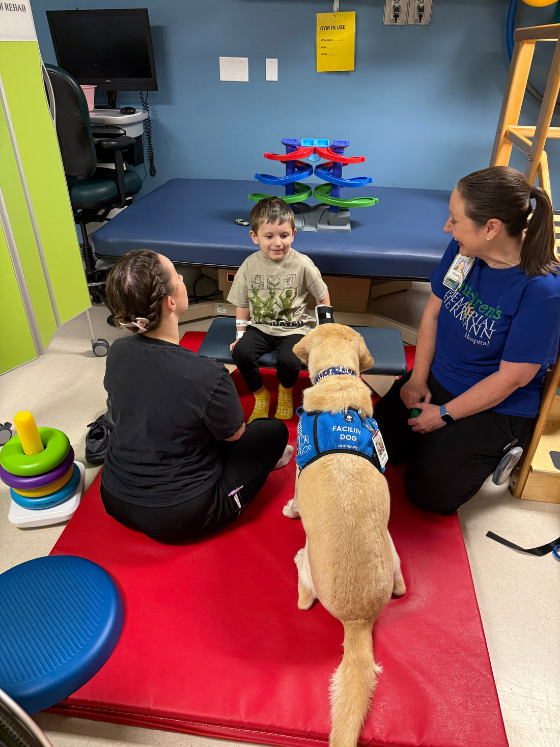 SDR Recovery Day 3: Walking, Waggin’ Wednesday, and Our First Big Win