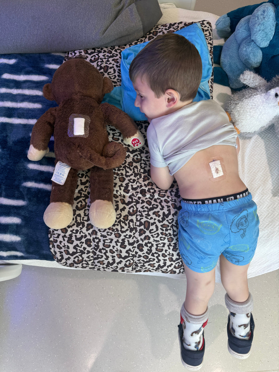 SDR Recovery Day 8: Ready to Work